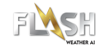 Flash Website Logo